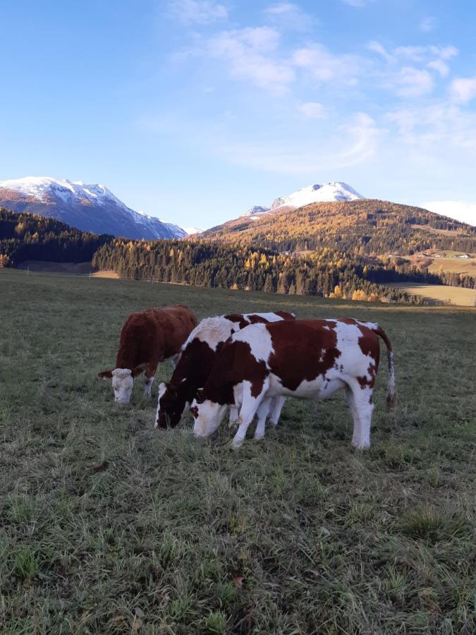 Bio Bauernhof Schoberhof Villa Sankt Andrä im Lungau Buitenkant foto