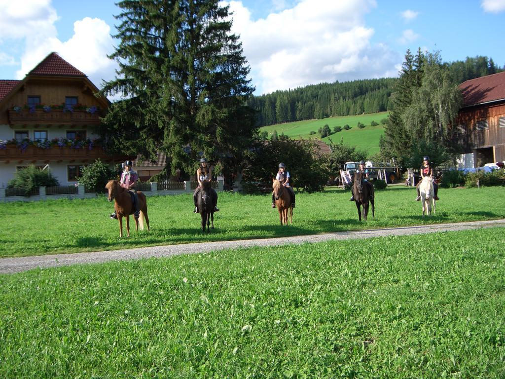 Bio Bauernhof Schoberhof Villa Sankt Andrä im Lungau Buitenkant foto