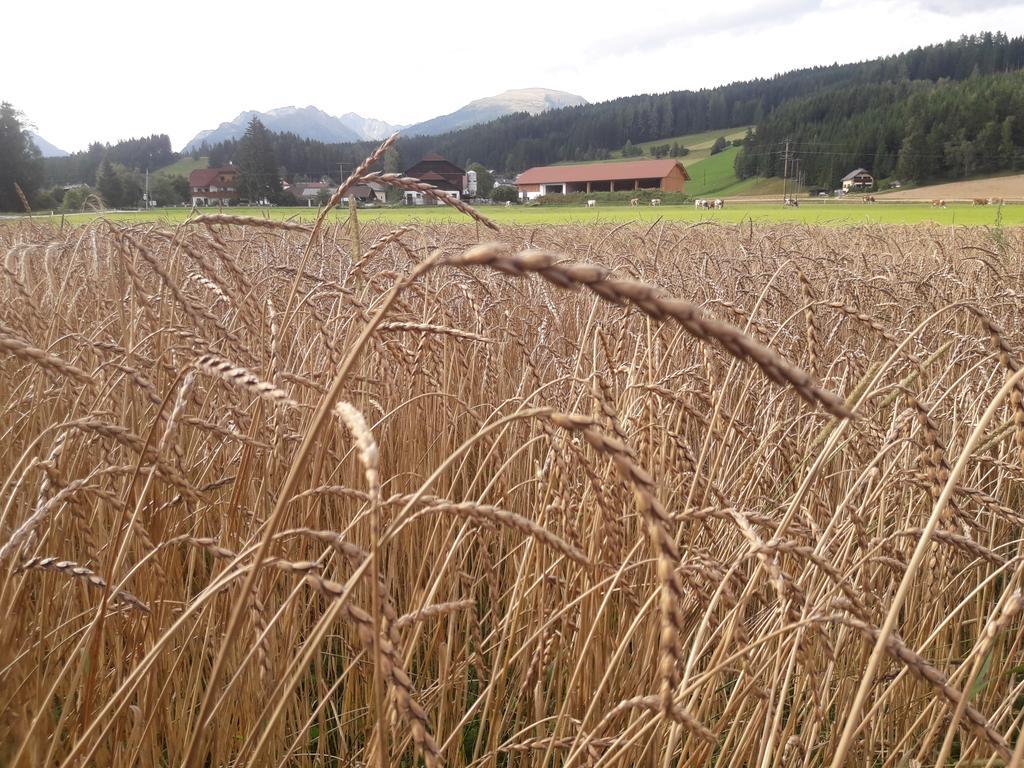 Bio Bauernhof Schoberhof Villa Sankt Andrä im Lungau Buitenkant foto