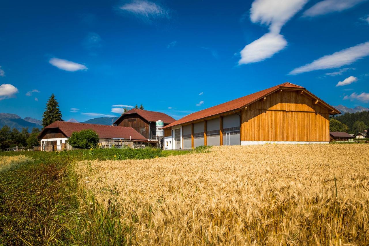 Bio Bauernhof Schoberhof Villa Sankt Andrä im Lungau Buitenkant foto