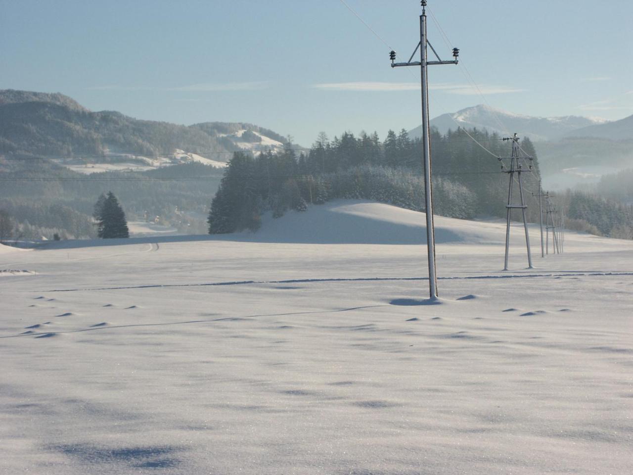 Bio Bauernhof Schoberhof Villa Sankt Andrä im Lungau Buitenkant foto