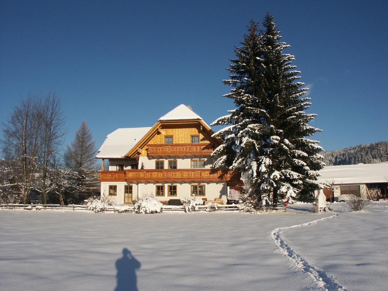 Bio Bauernhof Schoberhof Villa Sankt Andrä im Lungau Buitenkant foto