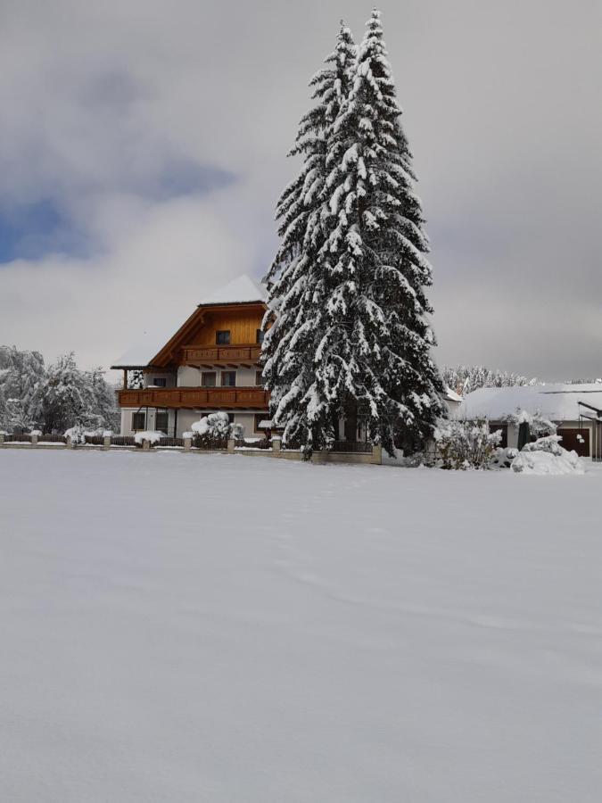Bio Bauernhof Schoberhof Villa Sankt Andrä im Lungau Buitenkant foto